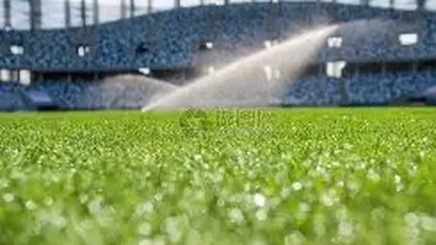 金宝博196bet体育 产品 084448 yf8