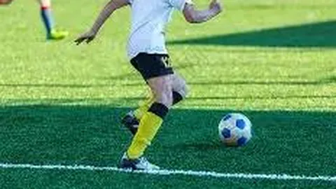 金宝博196bet体育 产品 084425 j40