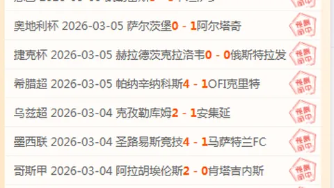 杀戮尖塔2专家推荐：期号内购策略分析