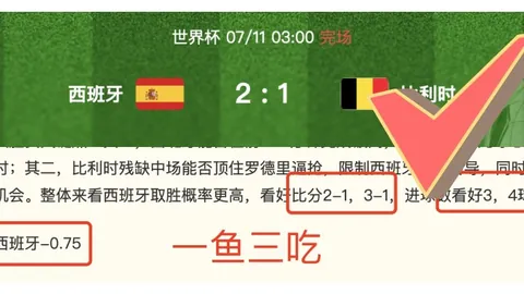 曼城紧急寻找多纳鲁马替身，锁定马赛门神鲁利